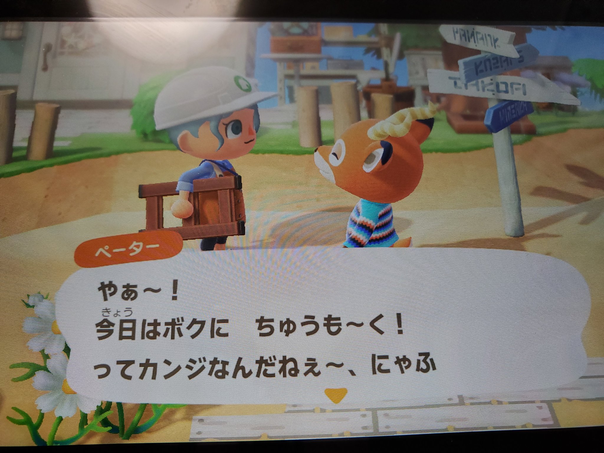 ペーター 口癖 おすすめ ペーター 口癖 おすすめ