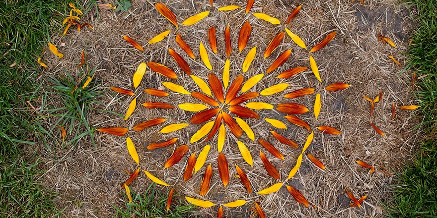 Kunst Und Natur Ausdrucksvielfalt In Der Kunst