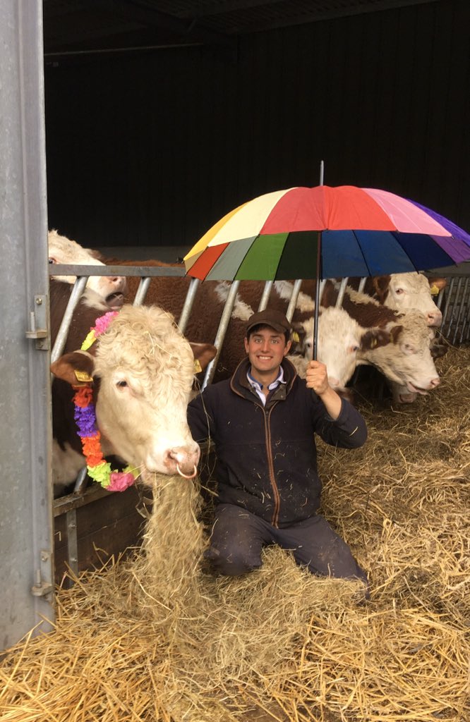 Sue Goring tweet media