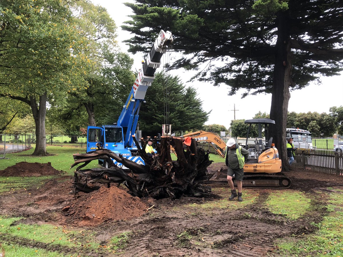 Bundogs's tweet photo. Root plate placed into Nature Based Play Space this arvo. Love it when a design comes to life. More logs getting craned into position tomorrow #naturebasedplayspace #rootplate #warrnamboolbotanicgardens #pickmyproject https://t.co/YjXLDWiL4o
