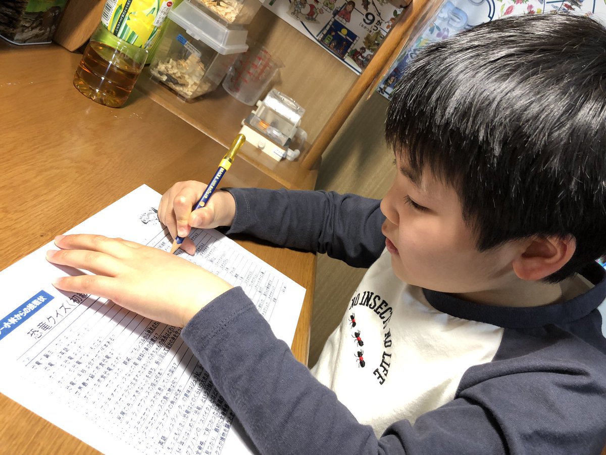 全国の子どもたちへ届け ダイナソー小林からの挑戦状 家で過ごすgwが楽しくなるように毎朝出題します 恐竜クイズにガチ勢キッズが大喜び Togetter 全国の子どもたちへ届け ダイナソー小林からの挑戦状 家で過ごすgwが楽しくなるように毎朝出題します 恐竜クイズにガチ勢キッズが大喜び Togetter
