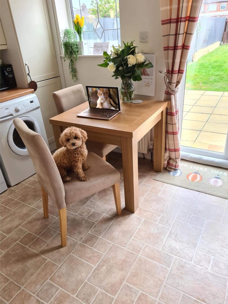 Daisydooodle16's tweet photo. Text my mate to check they were working from home... dont think she checked her screen before sending me this photo.... https://t.co/tq16IwFHwi