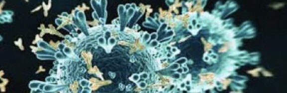 SiicaI's tweet photo. It's International Day of Immunology!
#DoI2020

Follow us on the official SIICA YouTube channel from 29th April to 6th May: our scientists will discuss how the immune system is involved in the fight against infections and in chronic diseases
https://t.co/POLCYMirej https://t.co/DqN7beVK1U