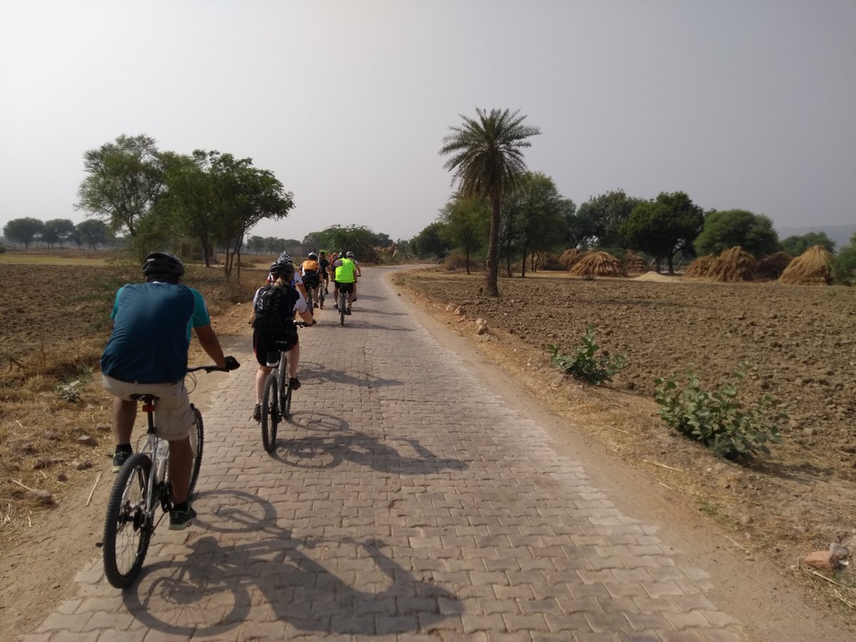 Seeing the world pass you by at your pedal's pace, the freedom of riding along an open road, or the exhilarating feel of pushing yourself on an ascent. 
What is your favourite cycling moment?
bit.ly/3bn13De