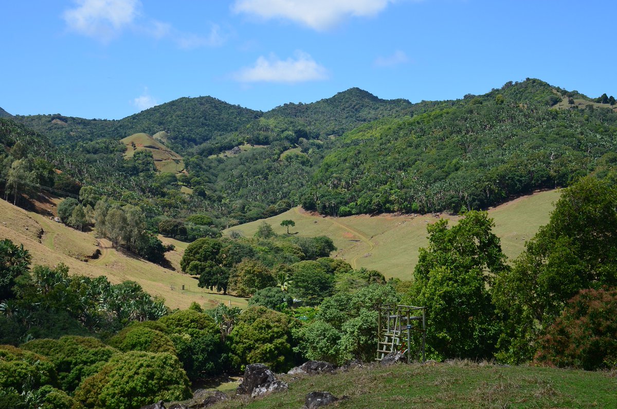 Au cœur de l’île : #Ferney, une histoire d’anticléricalisme #ilemaurice #mauritius #histoire #voyagezdemain #treveltomorrow bit.ly/3bNTki7