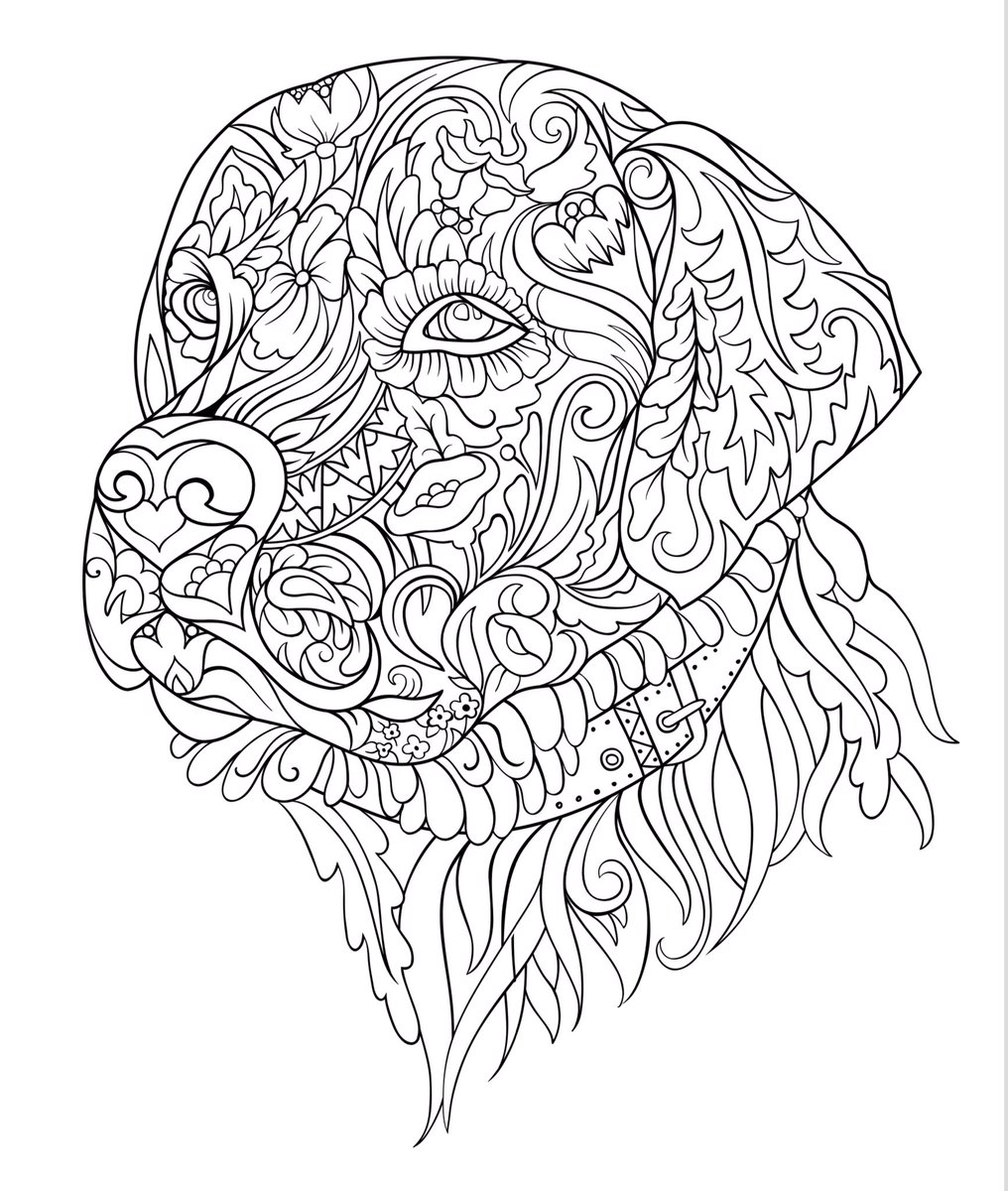 BooksVibrant's tweet photo. Dog coloring book, DOGS aduly coloring books dogs animals: dog coloring boo... https://t.co/i4yA3FyTcb 

#dogcoloring #atomuの日 #edandjamiedelacruz #dogart  #dogfunny #coloringforadults #dogshaming #adultcoloringbook #coloring #artoflabrador #labradorretriever #coloringbook https://t.co/RbnW1cUlGE