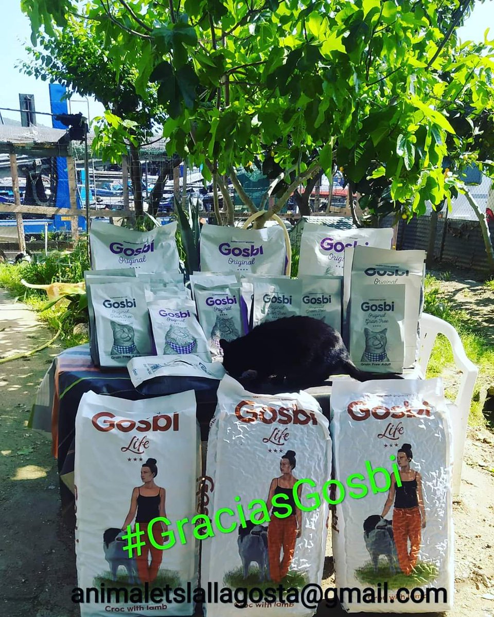 Animalets La Llagosta tweet media