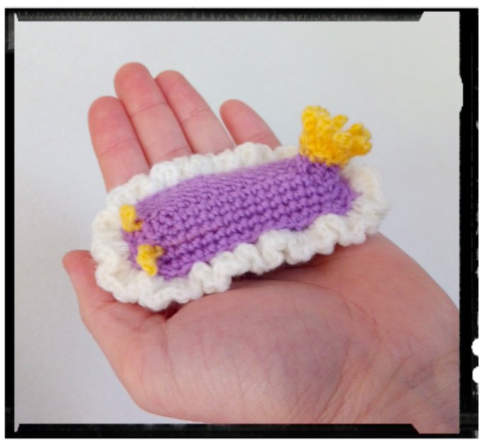 シンデレラウミウシのtwitterイラスト検索結果