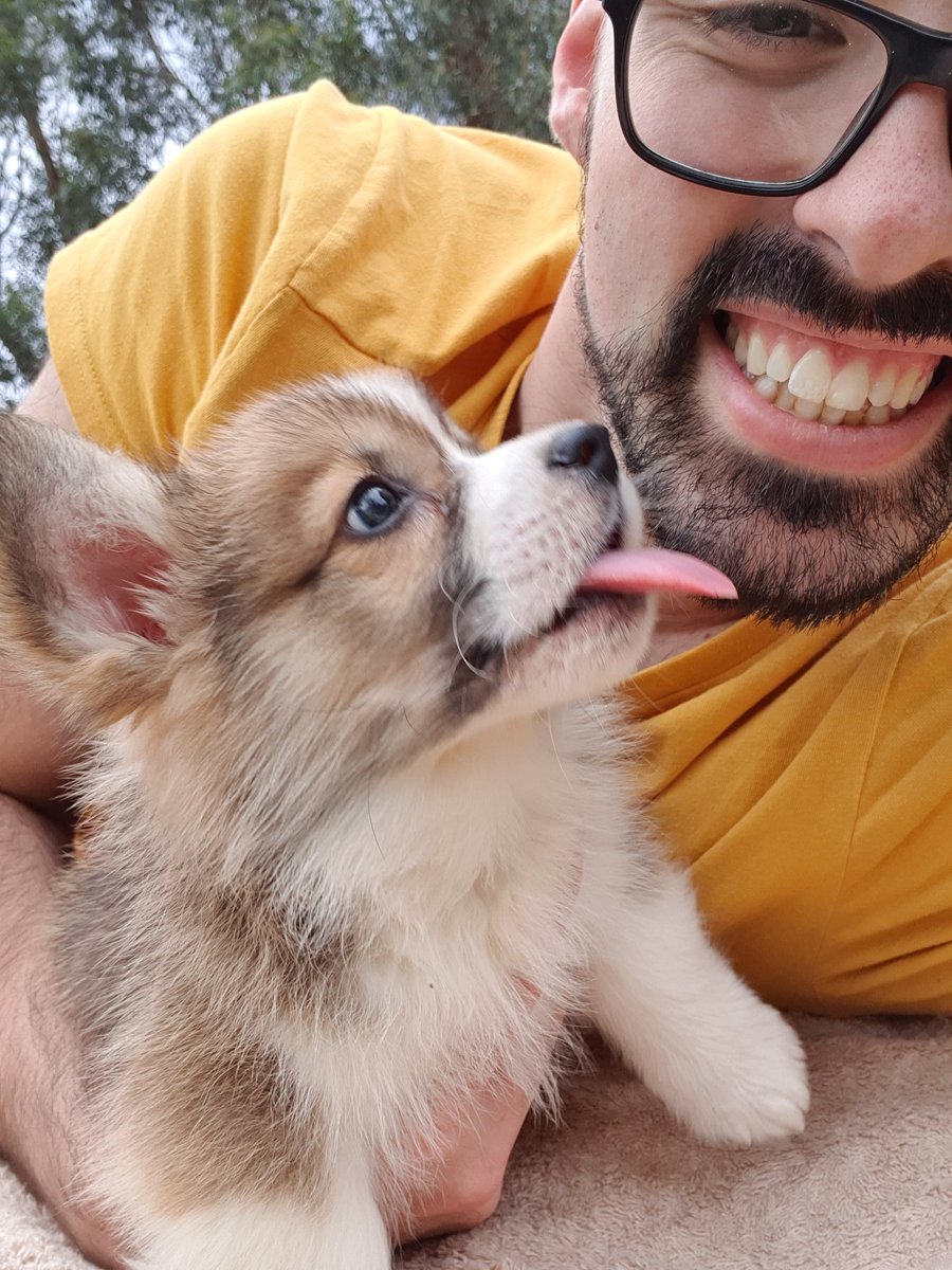 AussieAntics's tweet image. Lying in the backyard of my house that I'm paying off with content while cuddling my puppy that stream helped buy... 

The dream. 

Thank you everyone so much

I promise I won't spam my main socials with my puppy. 

His Insta - Instagram.com/MrSteveAntics