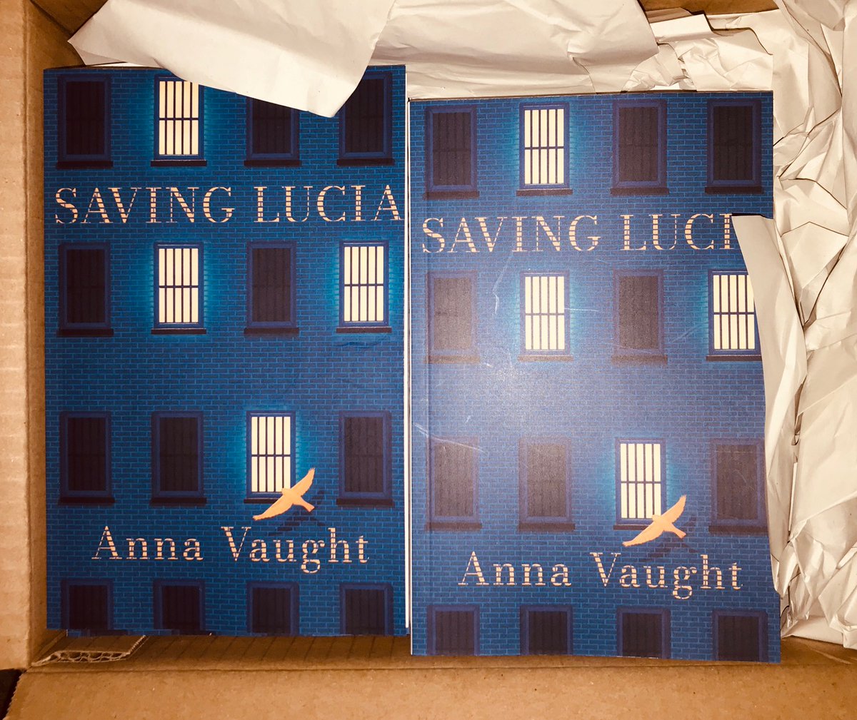 Ofmooseandmen's tweet image. Tomorrow we publish SAVING LUCIA by @BookwormVaught 

It is the story of four women silenced in their lives and in telling their stories.

'Those who are confined have the best imaginations.'

@WomensPrize @WomenRead @Mslexia 

You can buy it here: bluemoosebooks.com