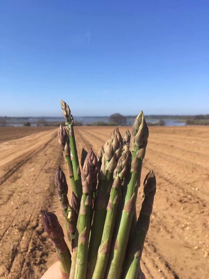 Silver Harvest tweet media