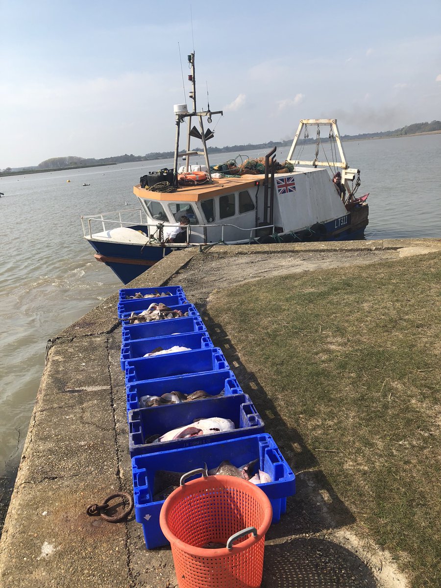 Silver Harvest tweet media