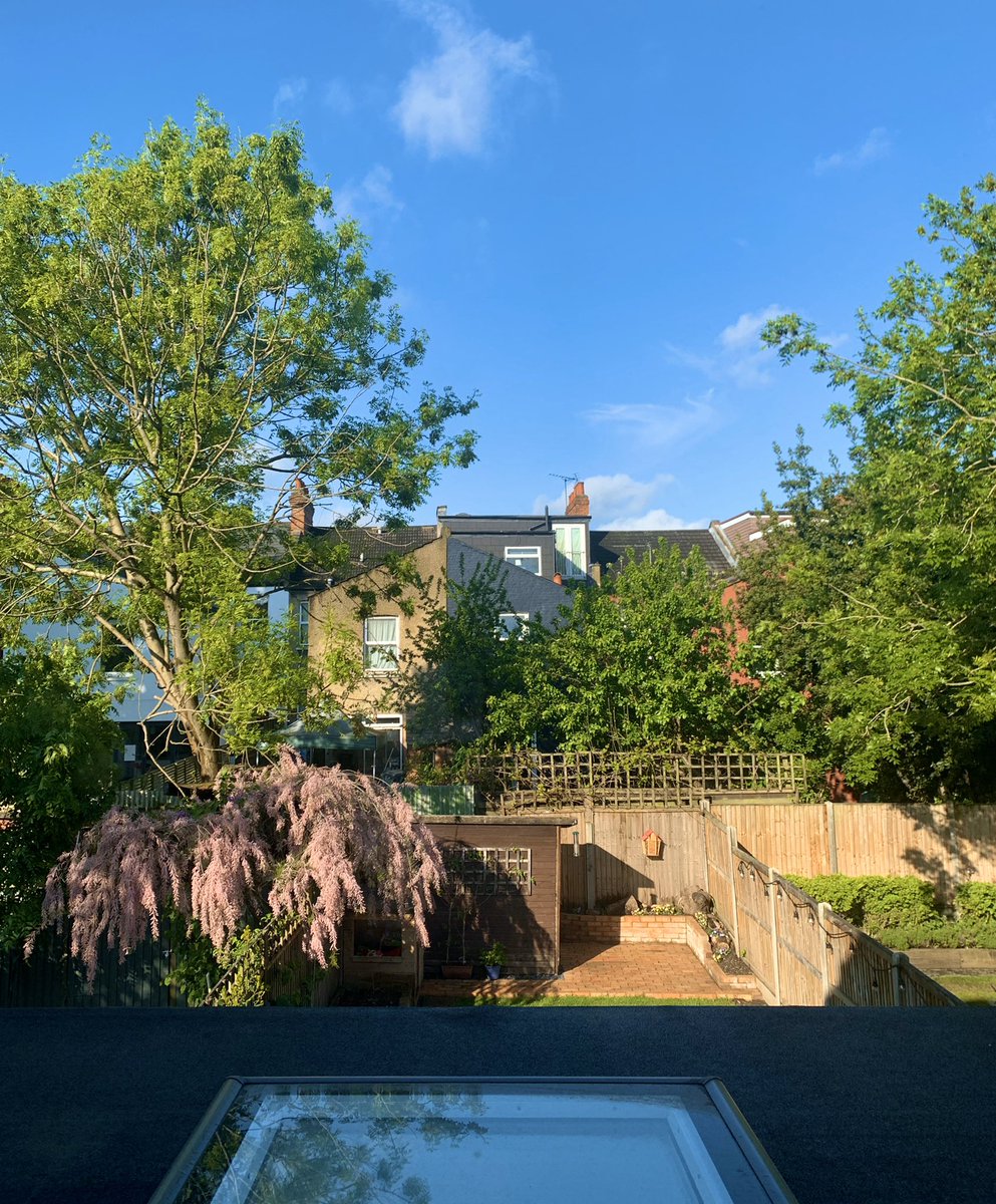 #GoodMorning London, you beauty! 

The nature thriving all around serves as a good reminder that those of us going stir-crazy in #lockdown will also continue to grow as we nourish ourselves and turn toward the light 🥰

#WednesdayWisdom #StaySafeStayHome