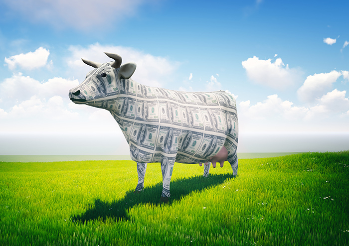 AECmagazine's tweet image. As many AEC firms face rising costs on subscription, we look at what the latest changes at Autodesk mean for CAD users.
aecmag.com/comment-mainme…
#revit #autocad #cad