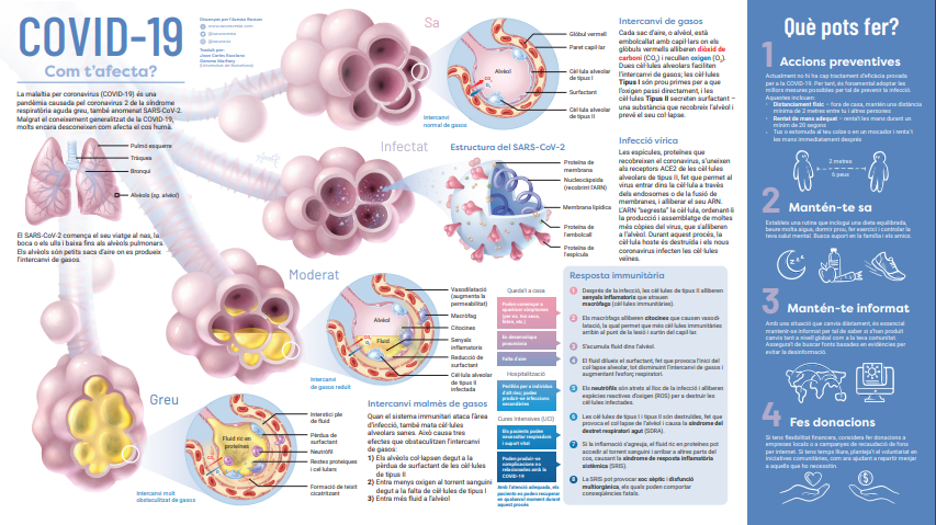 eduscopi's tweet photo. 📊 Com t'afecta la #COVID19?
Una nova infografia sobre el #coronavirus #SARSCoV2 per nodrir el fil de #FontsFiables.

Disseny: @azuravesta
Traducció al català: @GMarfanyN i @CarlesViladiuUB de la @UniBarcelona, i @jc_escolano. 👇

#SciComm #ComunicaCiència #JoActuo #QudaTACasa https://t.co/iKzLmXmz7u
