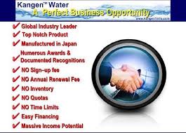kangen water for dengue