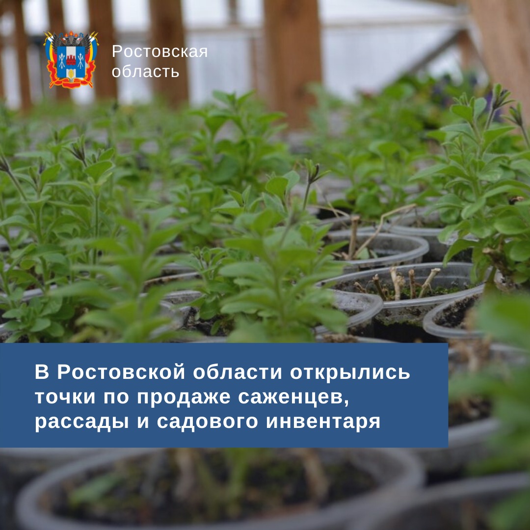 RostovRegion's tweet image. В Ростовской области открылись точки по продаже саженцев, рассады и садового инвентаря. Подробнее смотрите: donland.ru/news/8910/

#Ростовскаяобласть #продажасаженцев #садовыйинвентарь #дачныйсезон #самоизоляция