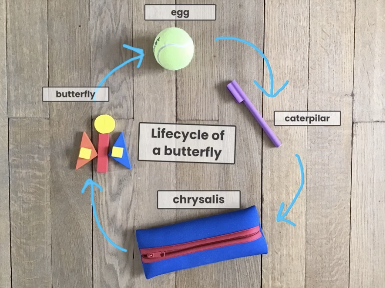 isb_ecc's tweet photo. When asked to find a way to creatively demonstrate the lifecycle of a butterfly....this is just some of what our Kindergarteners made. Such creative ideas! #ThisIsISB #DistanceLearning #ECClearns https://t.co/kl1buVrb5C