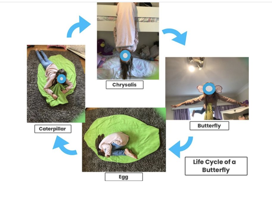 isb_ecc's tweet photo. When asked to find a way to creatively demonstrate the lifecycle of a butterfly....this is just some of what our Kindergarteners made. Such creative ideas! #ThisIsISB #DistanceLearning #ECClearns https://t.co/kl1buVrb5C