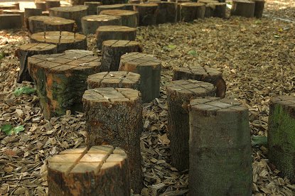 Looking to install a new &amp; flexible activity area in your #school grounds on a budget? <a href="/Great_Grounds/">Great Grounds</a> now have in stock a limited number of stepping #logs ready for immediate delivery. #Nature &amp; physical challenge combined. Great new addition, for when the children return. #Stoke