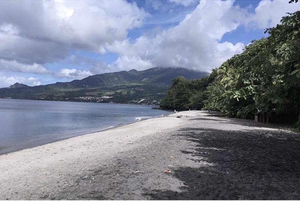 Martiniquela1e's tweet image. #Martinique : Sortir du #confinement, une #opération #complexe la1ere.francetvinfo.fr/martinique/sor…