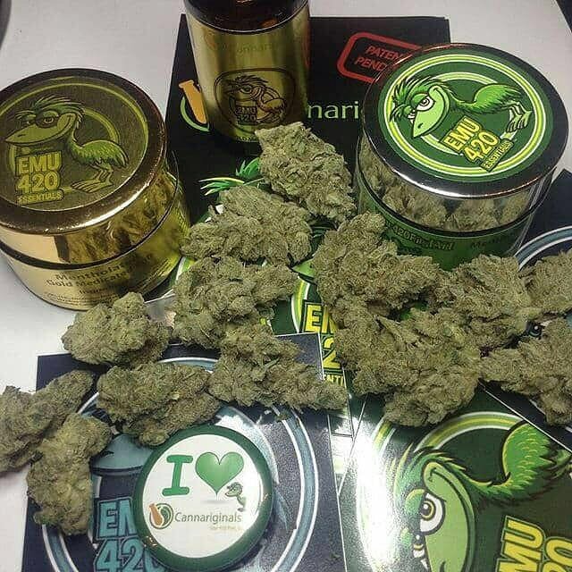 AskWeed's tweet photo. Salut les gars y'a des fdp qui sont pas sérieux on deal réglo des neosurf à la livraison et c'est des carottes à l'arrivée Snap:plugstore18 #Angoulême #Bondy #Colmar #Meudon #Fréjus #Aubagne #Saint_Brieuc #Arles #Sartrouville #bouches_du_Rhône #Châlons_en_champagne https://t.co/DuHK1x0pia