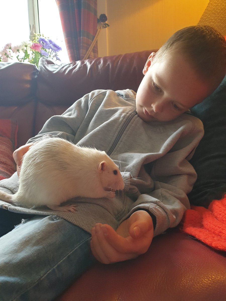 Corrie &amp; Fluke 🥰 <a href="/LennoxtownP/">Lennoxtown PS</a>