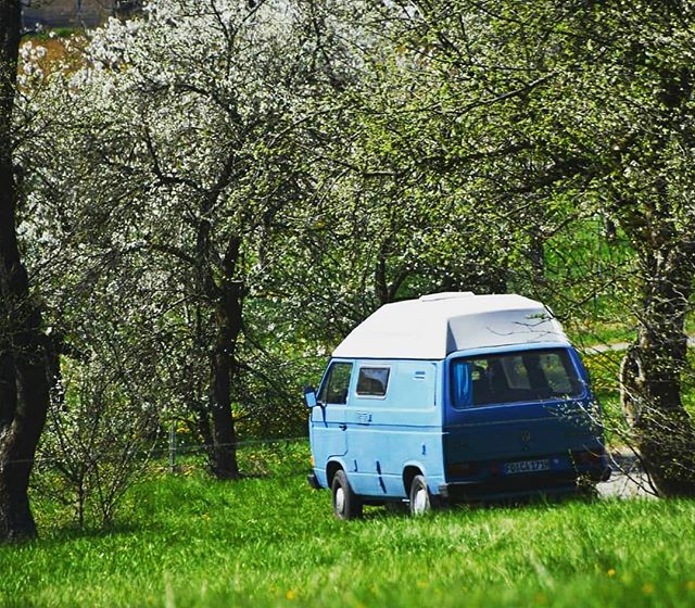StayFreeVanApp's tweet photo. loppis_on_tour tests new #stayfreeapp in its natural environment -> #wildcamping 💚🌱 https://t.co/V599ZYTGPJ #vanlife #greenvanlife https://t.co/UIHUGFz1NZ