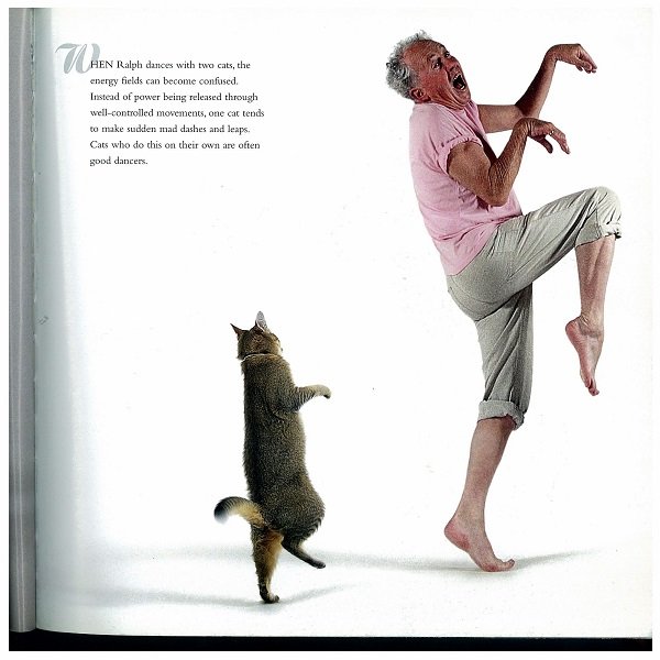 OrkneyLibrary's tweet photo. Usually on #InternationalDanceDay our staff would form an expressive dance flash mob in the foyer but we can't this year for obvious reasons.

Instead let's all stay home with our pets and take inspiration from the fabulous Dancing with Cats. (yes it's real, yes we have it) 🙀 https://t.co/ZUxVhAYQo7
