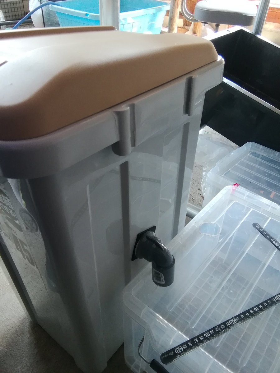 Kaibaibao ゴミ箱ドライ式濾過装置完成 洗車スポンジの上にウールマット敷いて物理濾過 その下の洗車スポンジがドライ濾過 そこから下の軽石 三枚重ねの人工芝に落ちてウエット式濾過 最下層から水がサイドのボックスに落ちる仕組み そこからレイシー