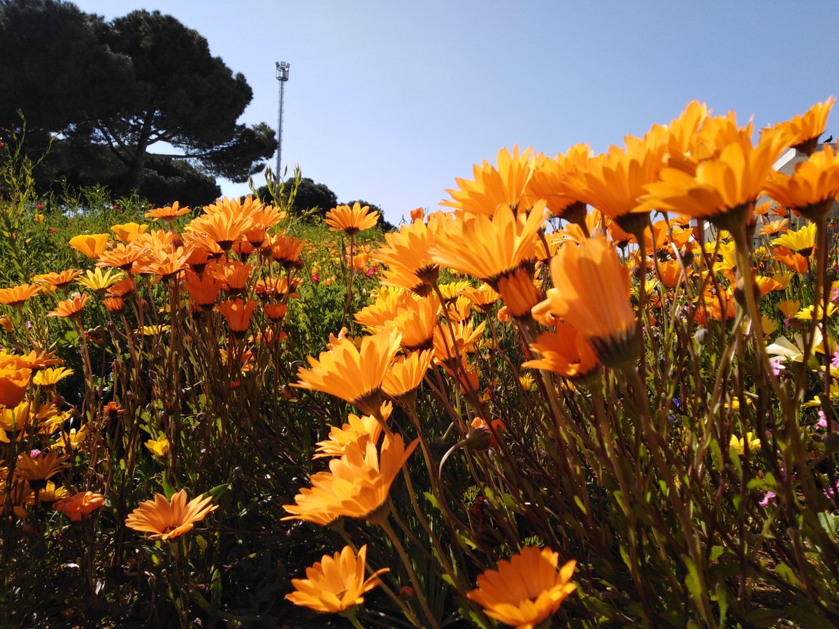 Geçen yıl bu zamanlar baharda #ŞEHİR #DRAGOS Kampüs.