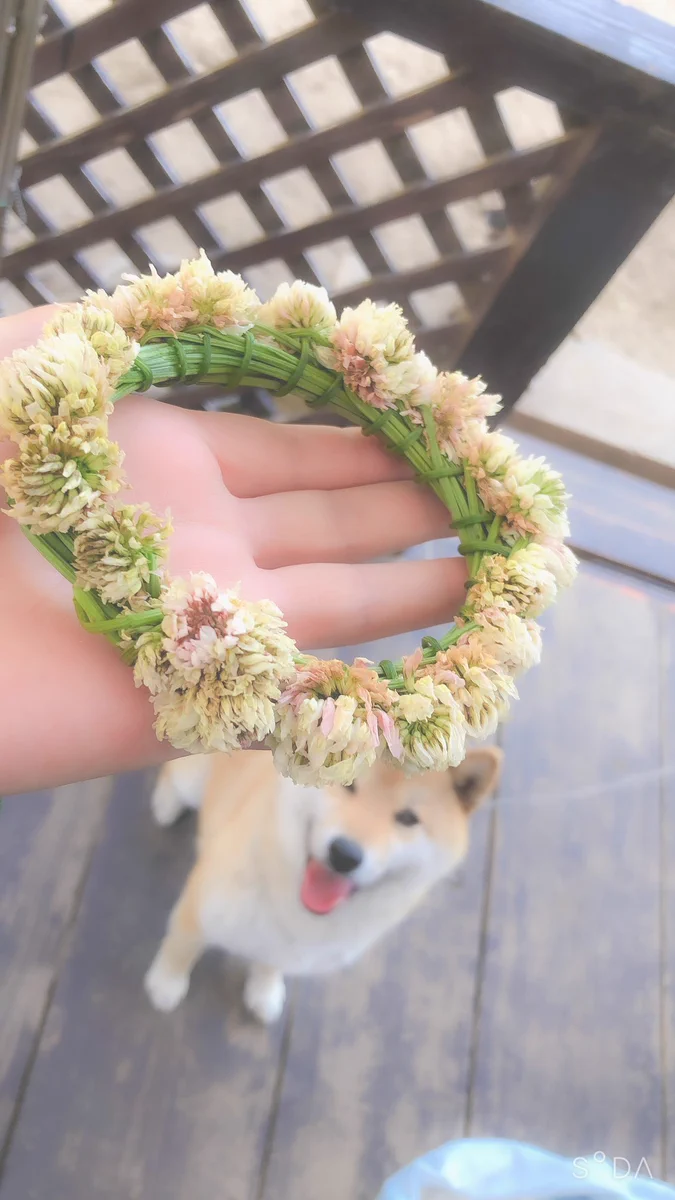 悪気はないんだろうけど･･･www一生懸命作った花冠がものの数秒でwww