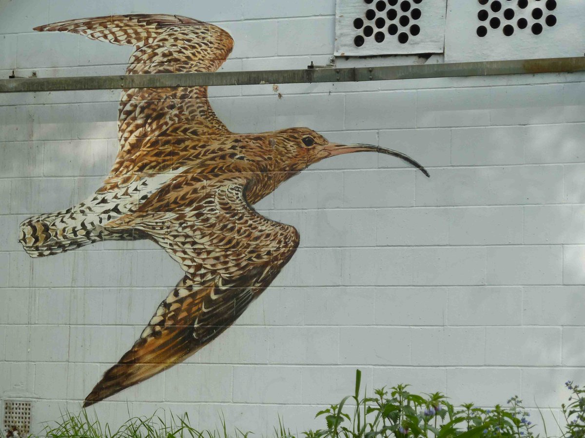 walkeastlondon's tweet photo. East End Ramblings: On this morning's walk I met a grey-breasted parakeet (@faunagraphic), blue whale (@louismasai), curlew (@AtmStreetart) and Boeseman’s rainbowfish (@tizerone). Just some of the remarkable 'Endangered 13' murals at Ackroyd Drive: https://t.co/mFHoGAcrJ6 @FoTHCP https://t.co/PXjuYVfPiU