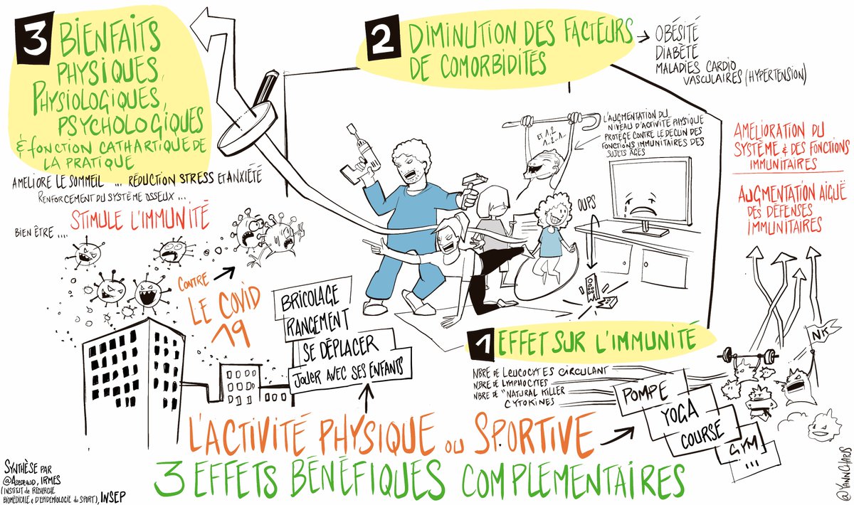 Another example of why #sport is so much more than just sport: examples of additional benefits to cope with #COVID19
Designed by <a href="/yannchapus/">Yannchapus</a> 
#MoveAtHome #BougezChezVous #sportsanté