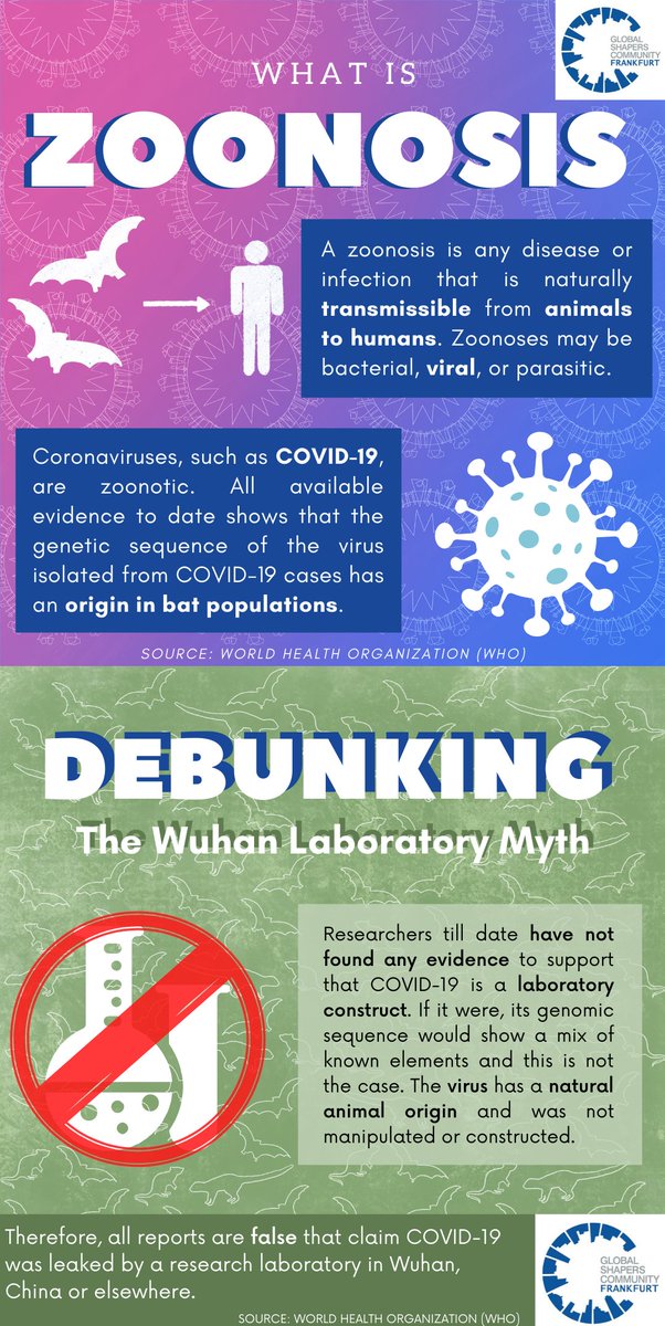 ShapersHubFFM's tweet photo. All reports are false which claim that COVID-19 was leaked by a research laboratory. All available evidence shows that the virus has an animal origin (zoonotic). Researchers can tell this by examining the virus’s genetic sequence #IKnowCOVID19 #NoCovidiotsHere #KnowledgeOverPanic https://t.co/yFghxGEogh