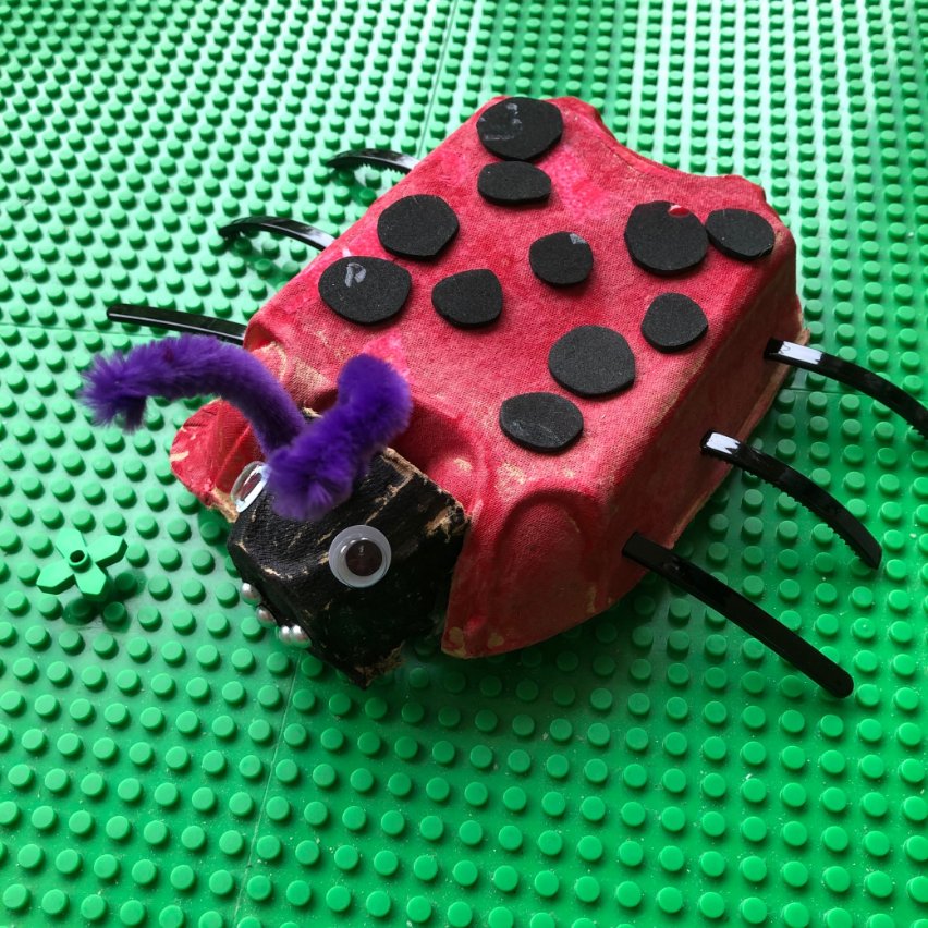 SDPReception_'s tweet photo. Creepy crawlies everywhere! Lovely work Reception 😀 https://t.co/HfihtZjUWN