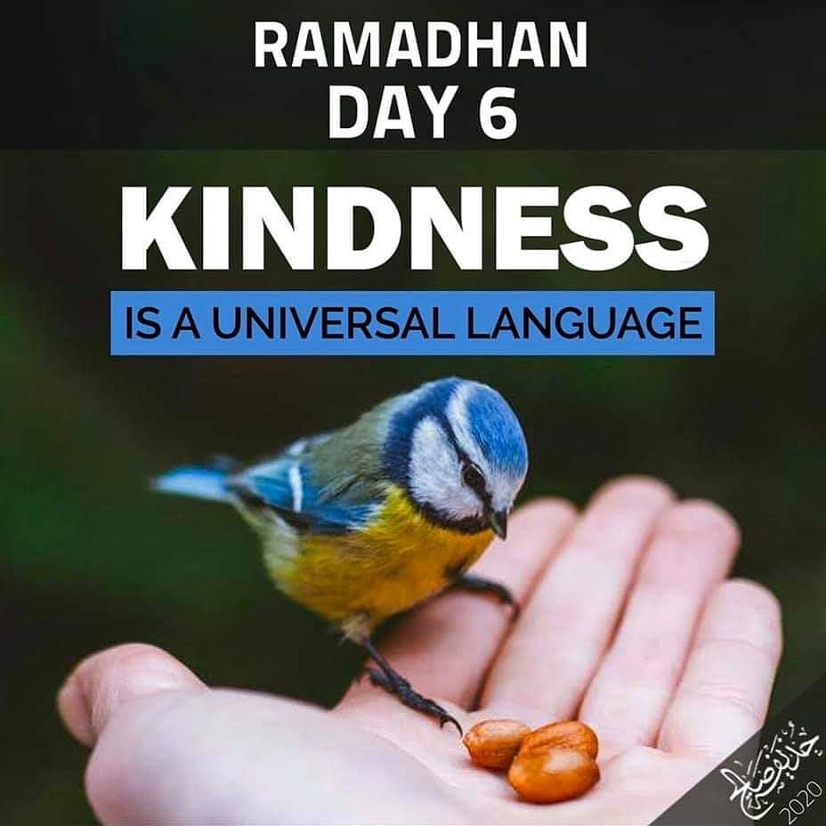 Muhammadimasji1's tweet photo. https://t.co/1DJue9Qrca