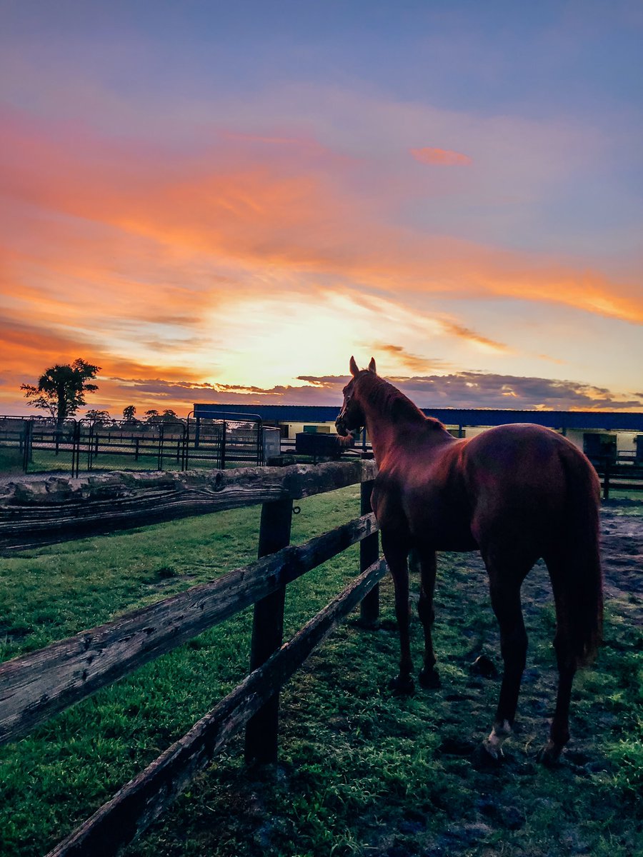 AllysonKWalker's tweet photo. #bringbackracing https://t.co/KsxIZxndrW