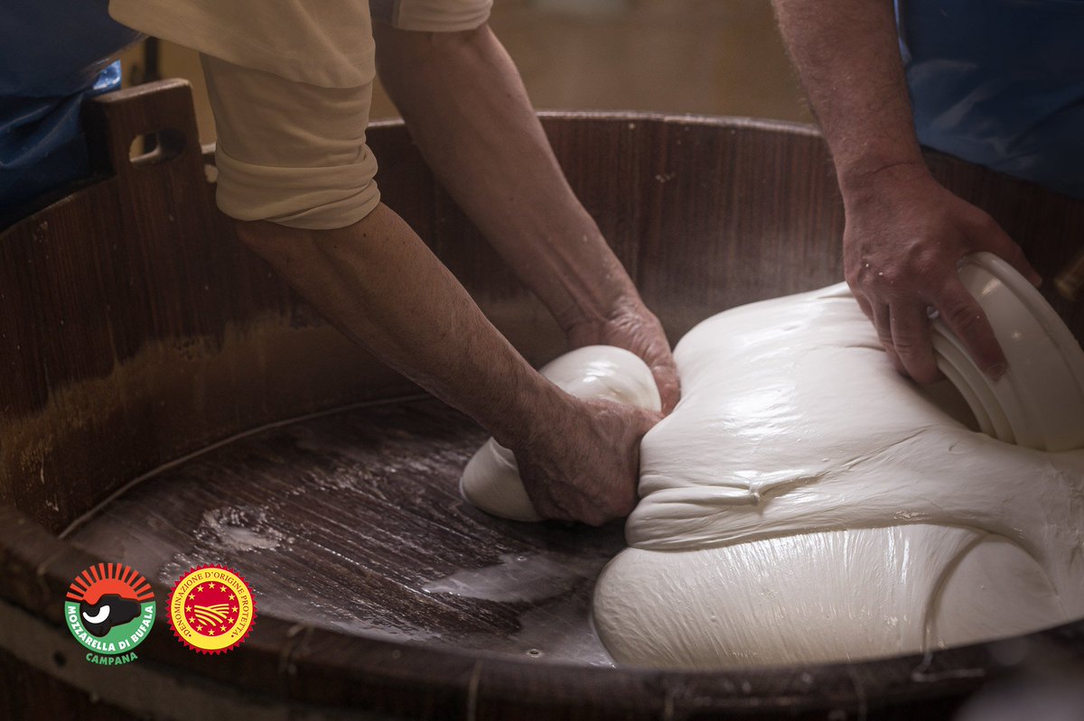 mozzarella_dop's tweet photo. Nuova tappa del viaggio nella produzione di #MozzarellaDOP con @lafarinella 📷

2. LA FILATURA
Qui avviene un piccolo miracolo: con l'acqua bollente, la cagliata inizia a fondere e filare in un grande recipiente, la cumpecina. Una magia tramandata nei secoli...

 #iorestoacasa https://t.co/FoGHnLzxrE