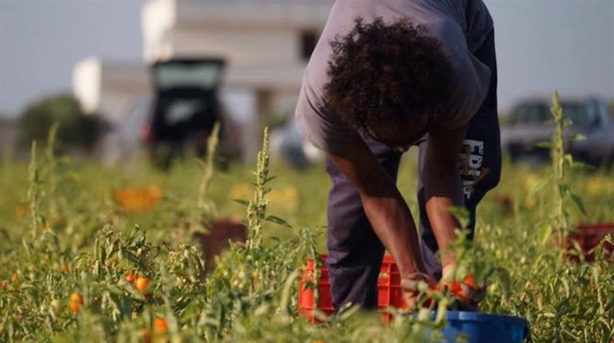 Aggiornamenti Sociali (@aggsoc) on Twitter photo Dal lavoro nei campi all'assistenza,l'emersione dall'irregolarità di tanti immigrati consentirebbe di monitorare la salute di chi oggi "non esiste". Nell'interesse di tutti. <a href="/maurizioambros8/">Maurizio Ambrosini</a> si unisce a chi chiede alla politica un gesto coraggioso aggiornamentisociali.it/articoli/i-mol… #COVID19 Dal lavoro nei campi all'assistenza,l'emersione dall'irregolarità di tanti immigrati consentirebbe di monitorare la salute di chi oggi "non esiste". Nell'interesse di tutti. <a href="/maurizioambros8/">Maurizio Ambrosini</a> si unisce a chi chiede alla politica un gesto coraggioso aggiornamentisociali.it/articoli/i-mol… #COVID19