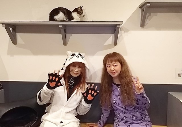 【アーカイブ公開】
猫好きさんの祭典「にゃんだらけ」、「ねこみゅ!」、ねこみゅを運営する「FOOL’S MATE」がコラボし猫好きアーティストをゲストに迎えるレギュラー番組「みゅージにゃんメイト」。THE SOUND BEE HDのベーシストYOUを迎えた第17回を公開!

詳細　ch.nicovideo.jp/neconecodouga/…