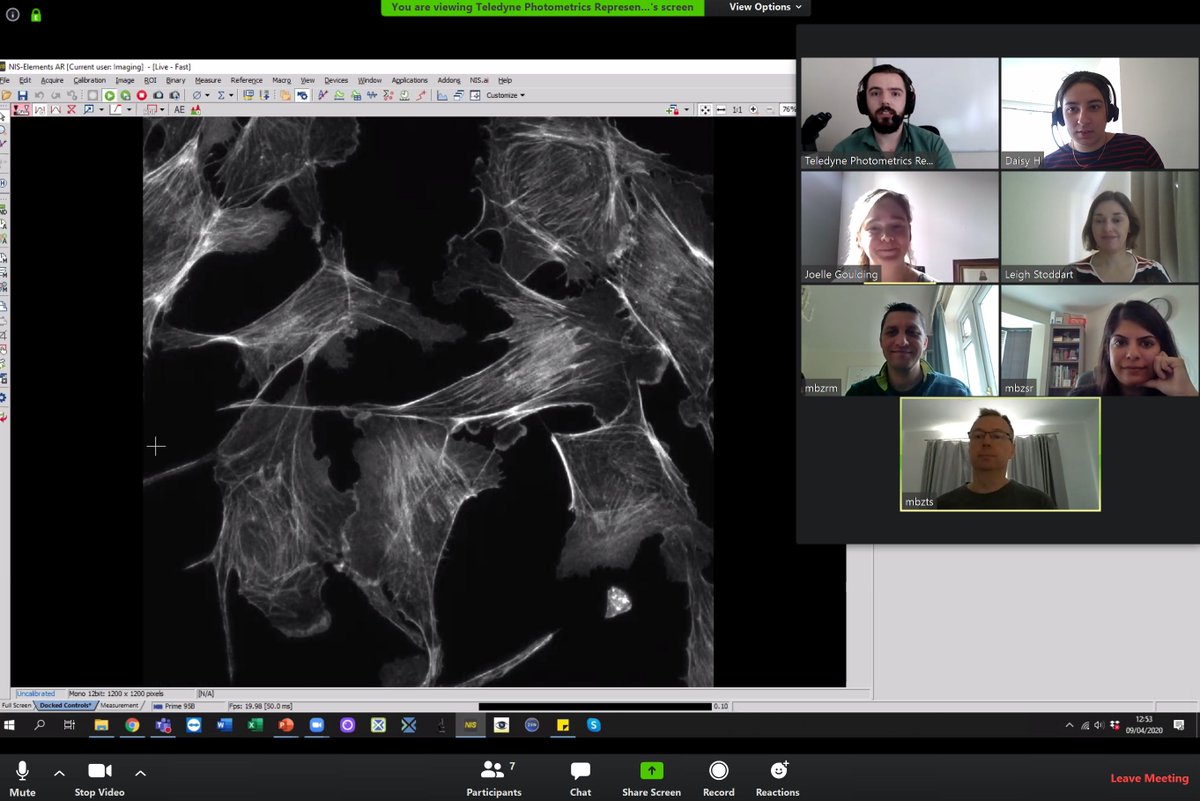 SLIM (@slim_nottingham) on Twitter photo Finished last of 3 seminars with <a href="/Photometrics/">Teledyne Photometrics</a> taking us through the intricacies of sCMOS cameras for high resolution imaging. Thanks to all the team at <a href="/Photometrics/">Teledyne Photometrics</a>. Finished last of 3 seminars with <a href="/Photometrics/">Teledyne Photometrics</a> taking us through the intricacies of sCMOS cameras for high resolution imaging. Thanks to all the team at <a href="/Photometrics/">Teledyne Photometrics</a>.