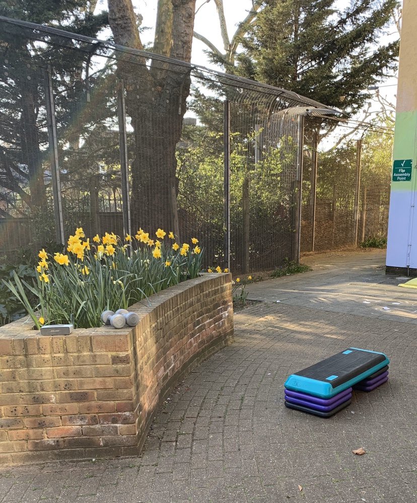 MattLiveMore's tweet photo. Thanks for featuring Nile Ward &amp; St Charles Hospital as positive examples of changes to mental health services :)

Partnering with local garden @WestwayTrust has allowed us to create beautiful gardens for patients &amp; staff to exercise in ☀️ 

#onecommunity @anidas1 @CNWLNHS https://t.co/8QeEx3jenQ