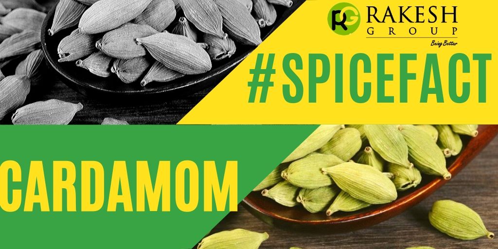 RakeshGroup's tweet photo. This sweet, pungent spice is in many pumpkin spice mixes. It’s known to soothe an upset stomach, and lab studies show it may also help fight inflammation.“Of all spices, #cardamom is especially high in minerals like magnesium and zinc
#HerbsforHealth #SpiceFact #rakeshgroup https://t.co/IKJMprsc7c