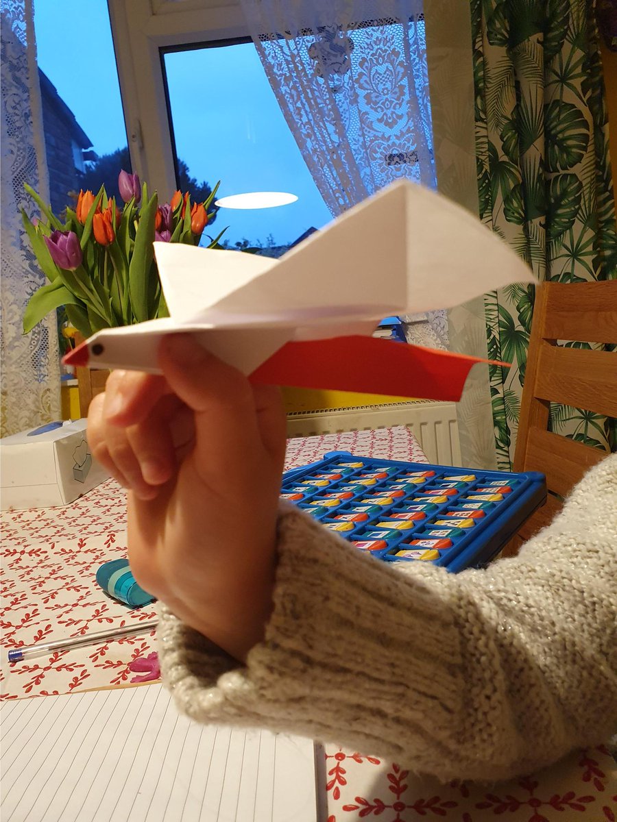 stanthonyslough's tweet photo. Some of our year 3 students were hard at work yesterday on a STEM project to research different bird wings and using these ideas to create paper planes based on the wings 🐦🦉🦅🛫#flyingwithwings #WednesdayMotivation https://t.co/JDO5ME3sxL