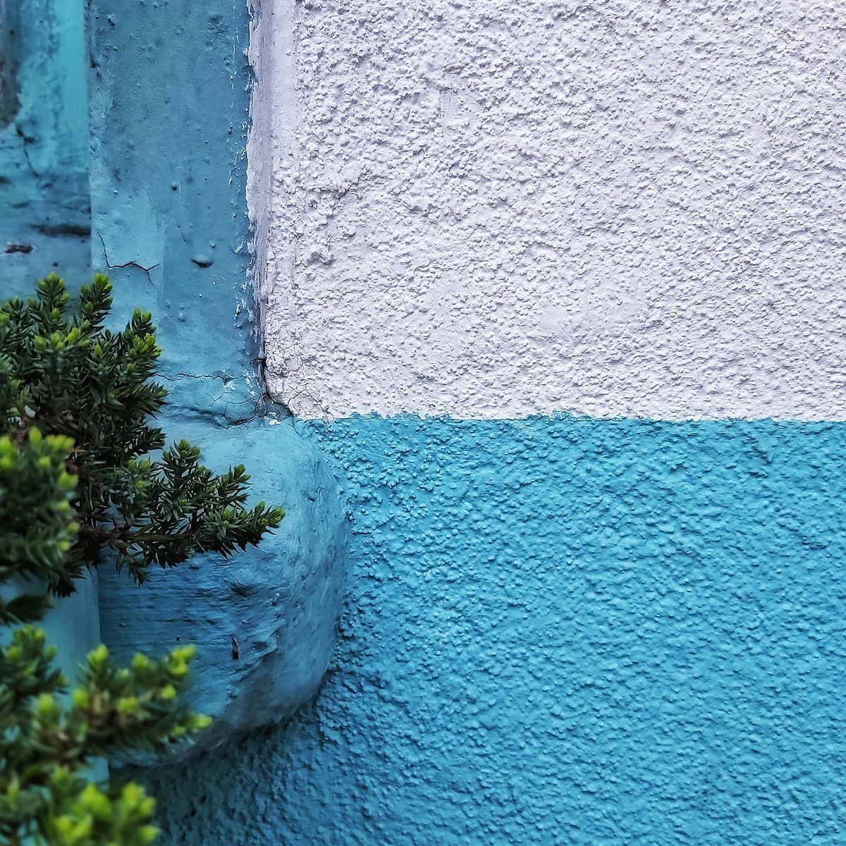 At / in / on the #corner 
#cornersofmyworld #iseestories
.
.
.
#blue #details #detailaddict #addicted_to_details #colorlove #texture #urbantexture #texturextreme #urbantexture #urbanminimal #wallshots #mindtheminimal #allyoucantexture #mytexturefix