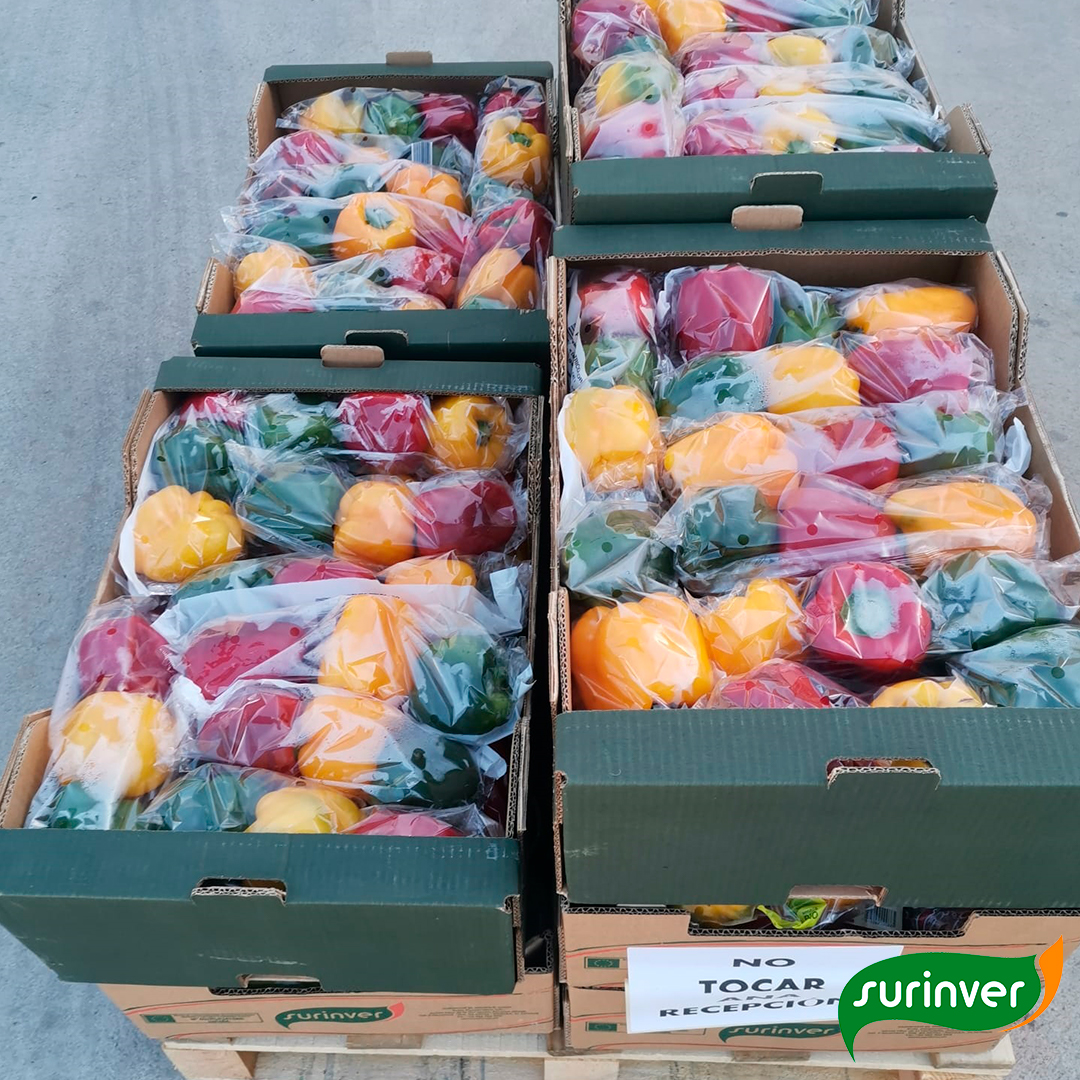 surinver's tweet photo. Seguimos colaborado con #AGsolidaria 😁

Hoy hemos vuelto a enviar alimentos frescos y listos para tomar, para que esta iniciativa siga repartiendo menús entre los colectivos más vulnerables 

Es un orgullo colaborar con un proyecto como este, que ya ha repartido 16215 menús❤️ https://t.co/sZLfpnYg1X