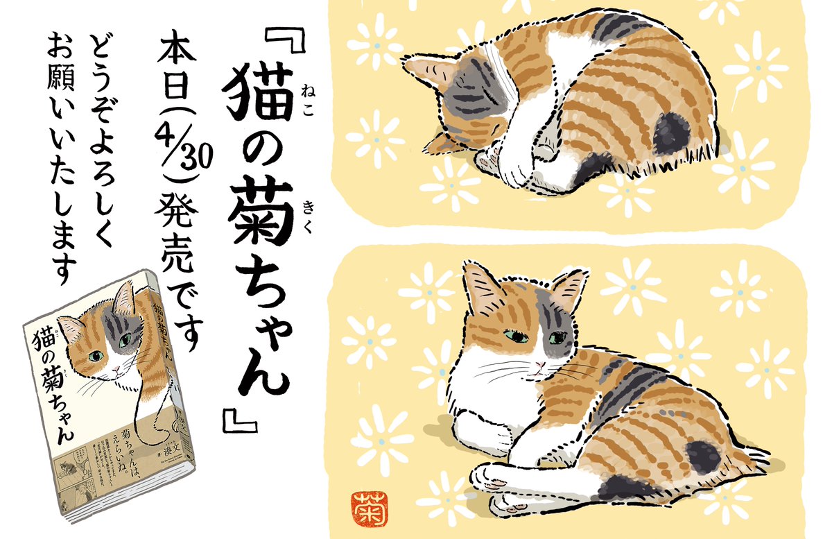 いつも見てくださりありがとうございます。
『猫の菊ちゃん』の本が発売になりました。
大変な時期にすみません。https://t.co/e8V5CYe99c 
#猫の菊ちゃん 