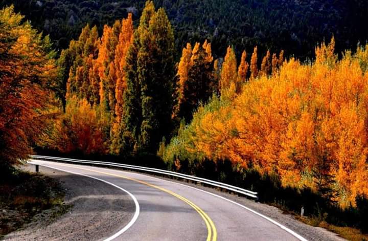 En la Patagonia las curvas se llenan de colores.
Foto: Dublin