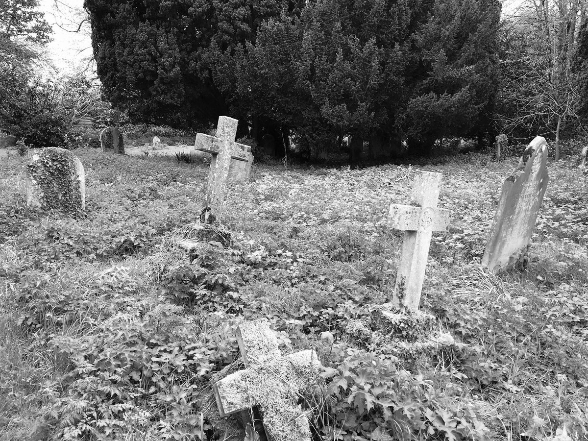 poshncfc's tweet photo. The gothic splendour of Great Plumstead church yard on a grey day... https://t.co/QSqViArX5j